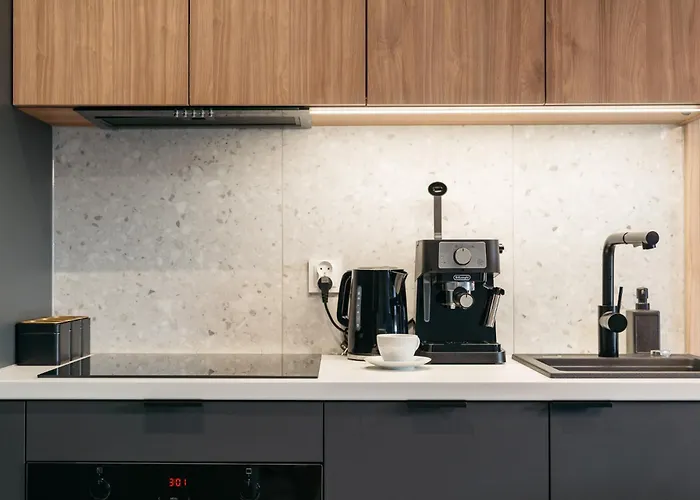 דירה Baltic - Loftaffair